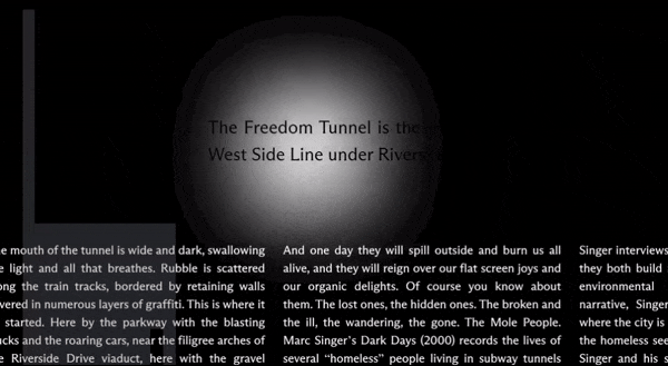 Flashlight cursor interaction revealing hidden text