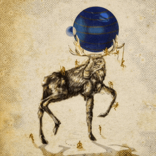 Moose